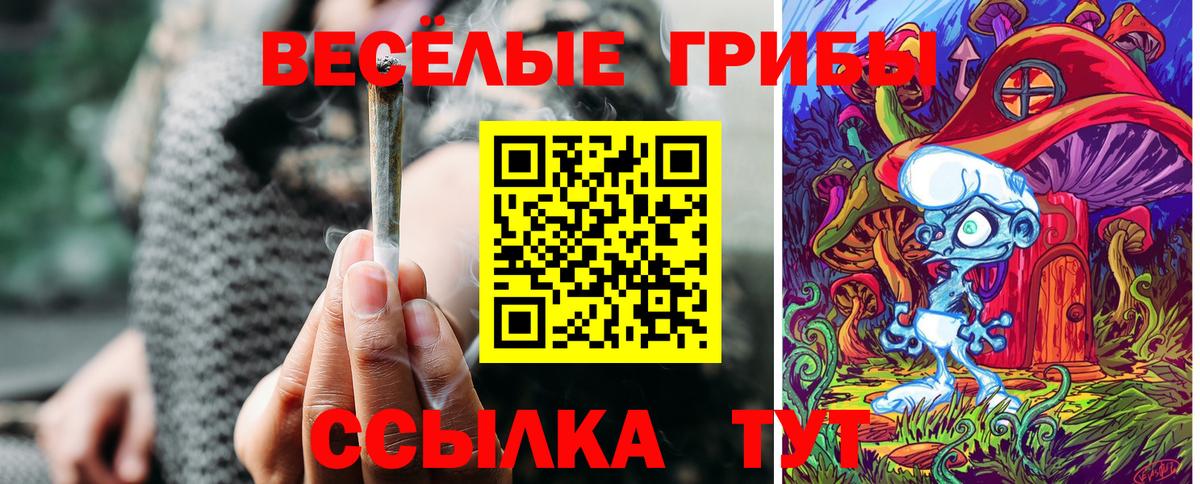 Псилоцибиновые грибы Magic Shrooms Обнинск