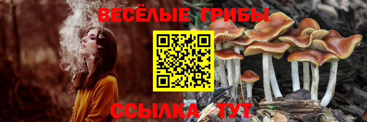 Галлюциногенные грибы Psilocybine cubensis  Псилоцибиновые грибы ЛСД  Вход с VPN  Обнинск 